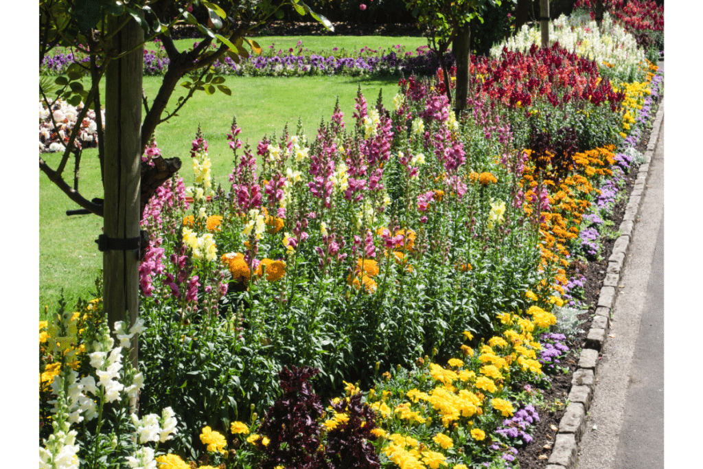 types de parterre de fleurs sans entretien