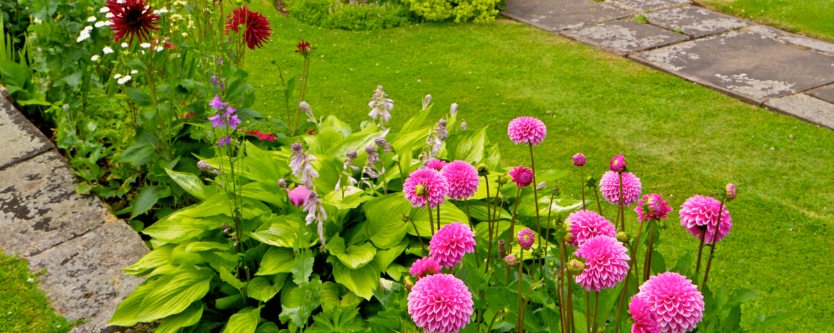 Jardin fleuri