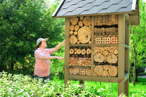 hôtel à insectes