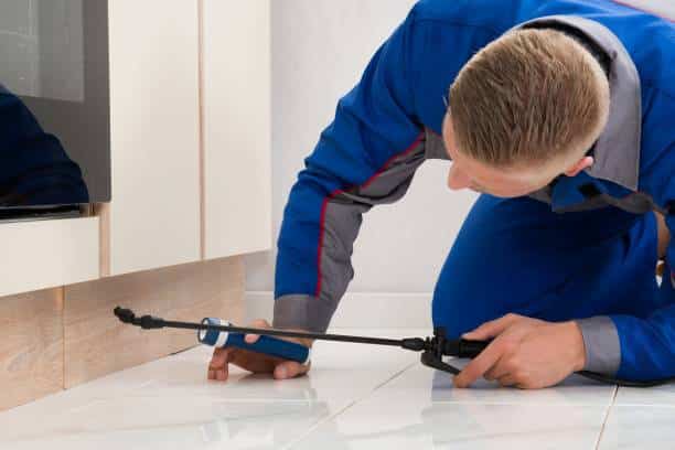 désinsectisation nuisible logement traitement professionnel